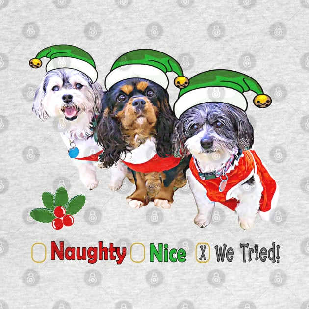 Naughty or Nice Dog Holiday Gifts by THE Dog Designs